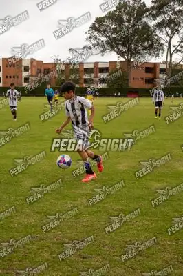 Foto de SANTOS DE COLOMBIA