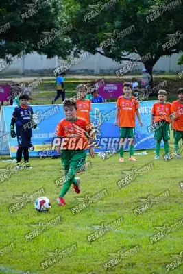 Foto de CANTERA DE HÉROES