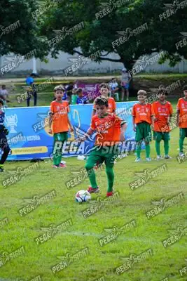 Foto de CANTERA DE HÉROES