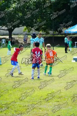 Foto de CANTERA DE HÉROES