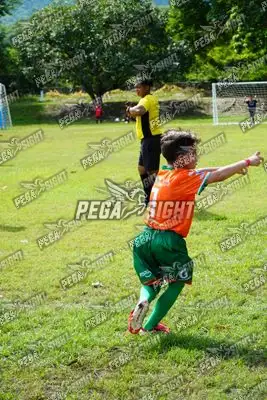 Foto de CANTERA DE HÉROES