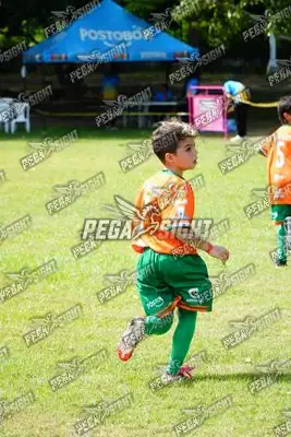 Foto de CANTERA DE HÉROES