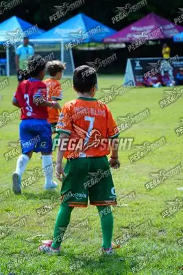 Foto de CANTERA DE HÉROES