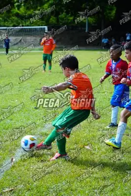Foto de CANTERA DE HÉROES