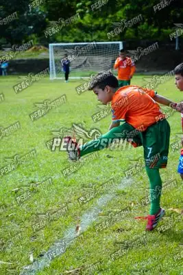 Foto de CANTERA DE HÉROES