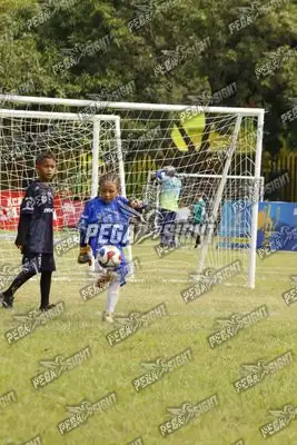 Foto de JUNIOR SPORT FC
