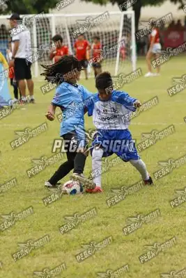 Foto de FOCA FC