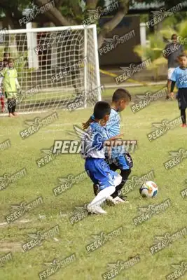 Foto de FOCA FC