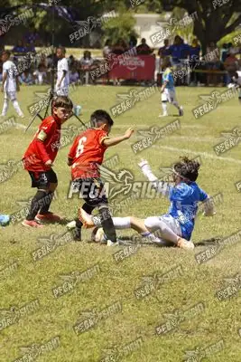 Foto de FUTKIDS B