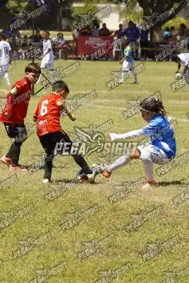 Foto de FUTKIDS B