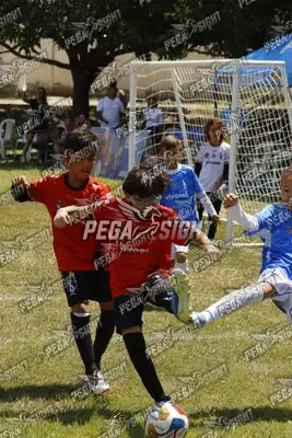 Foto de FUTKIDS B