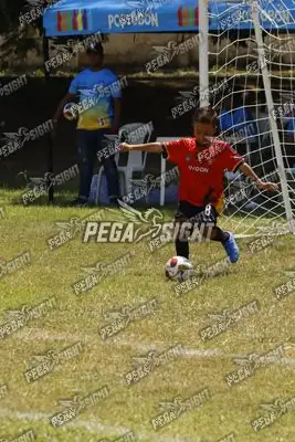 Foto de FUTKIDS B