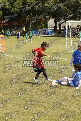 Foto de FUTKIDS B