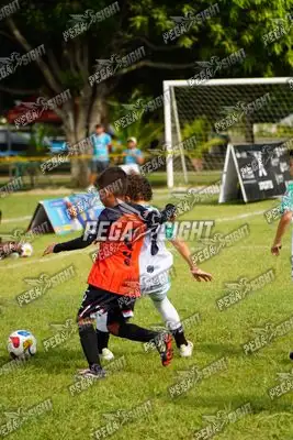 Foto de AMÉRICA DE CALI