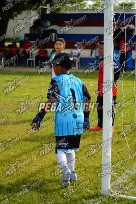 Foto de AMÉRICA DE CALI