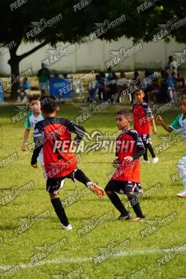 Foto de AMÉRICA DE CALI