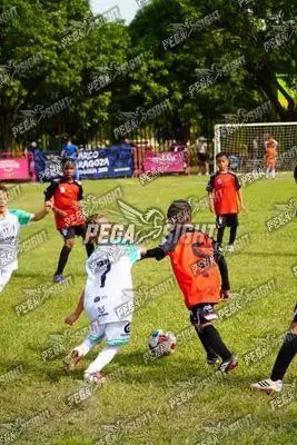 Foto de AMÉRICA DE CALI