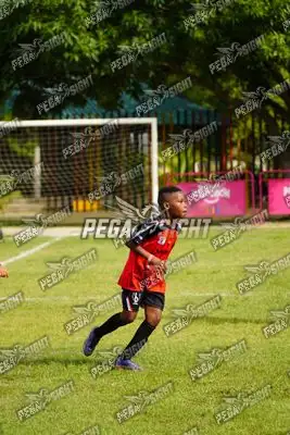 Foto de AMÉRICA DE CALI