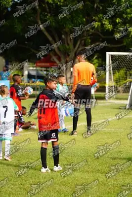 Foto de AMÉRICA DE CALI