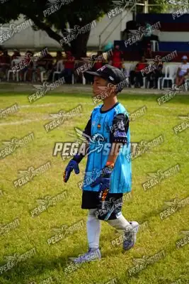 Foto de AMÉRICA DE CALI