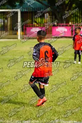 Foto de AMÉRICA DE CALI