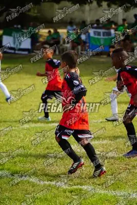 Foto de AMÉRICA DE CALI