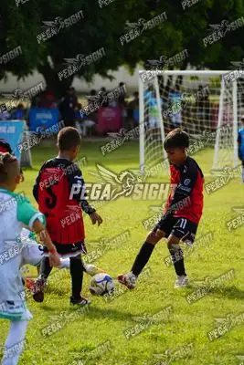 Foto de AMÉRICA DE CALI