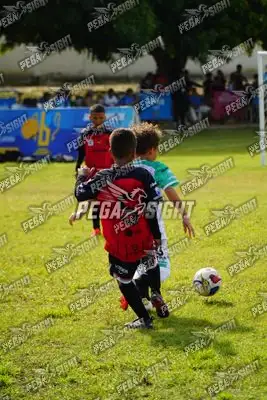 Foto de AMÉRICA DE CALI