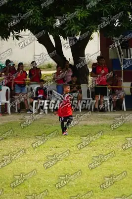 Foto de AMÉRICA DE CALI