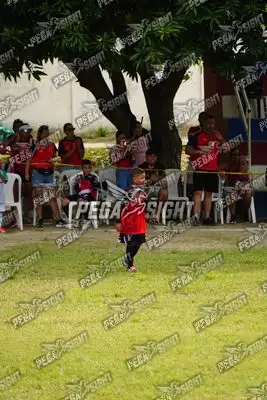 Foto de AMÉRICA DE CALI