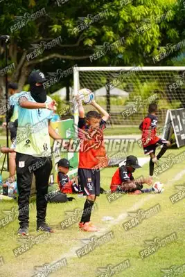 Foto de AMÉRICA DE CALI