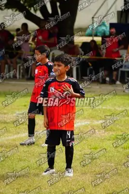 Foto de AMÉRICA DE CALI