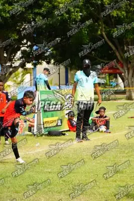 Foto de AMÉRICA DE CALI