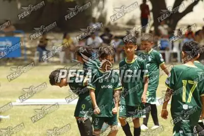 Foto de ATLÉTICO NACIONAL
