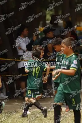 Foto de ATLÉTICO NACIONAL