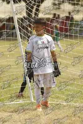 Foto de ATLÉTICO NACIONAL