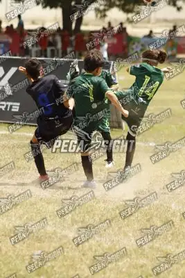 Foto de ATLÉTICO NACIONAL