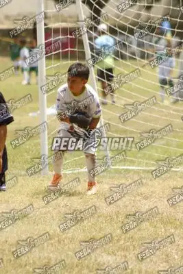 Foto de ATLÉTICO NACIONAL