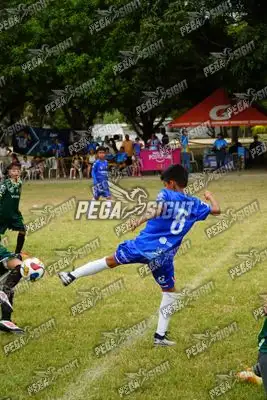 Foto de CD REAL F’LIBRES