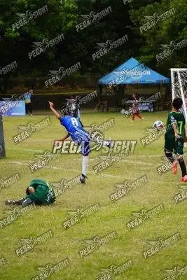 Foto de CD REAL F’LIBRES
