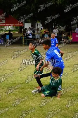 Foto de CD REAL F’LIBRES