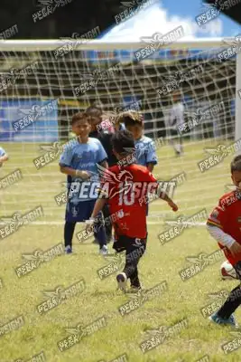 Foto de WEMBLEY FC