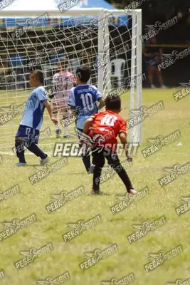 Foto de WEMBLEY FC