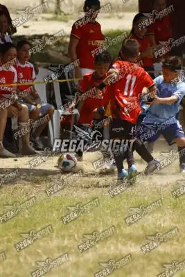 Foto de WEMBLEY FC