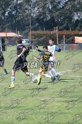 Foto de International United