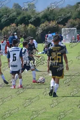Foto de International United