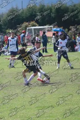 Foto de International United