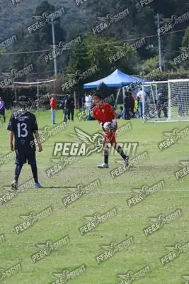 Foto de International United