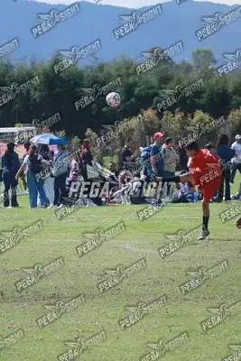 Foto de International United