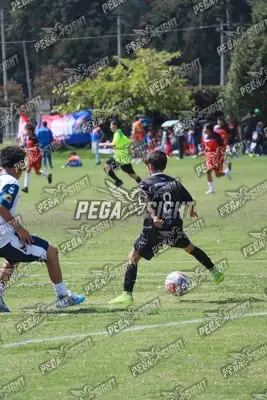 Foto de International United